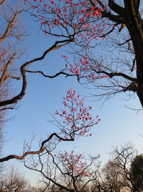 ファイル 6063-3.jpg