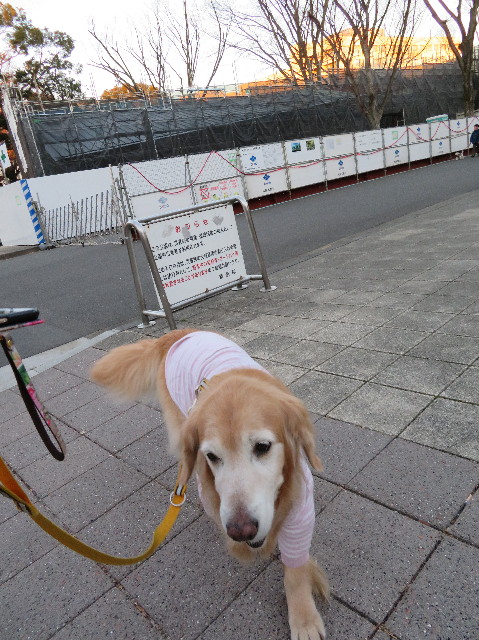 ファイル 6064-1.jpg