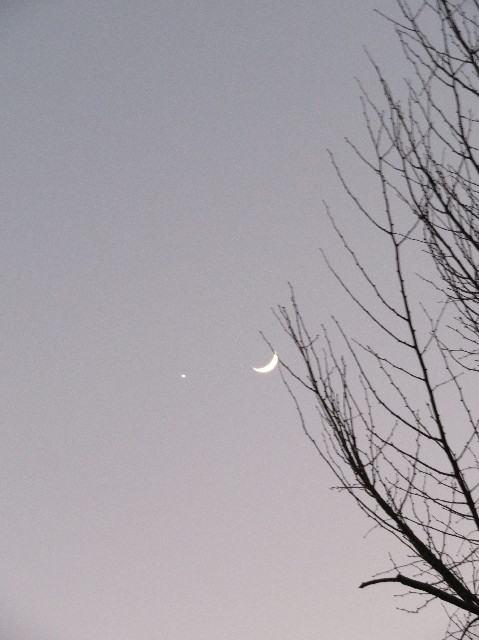 ファイル 6064-5.jpg