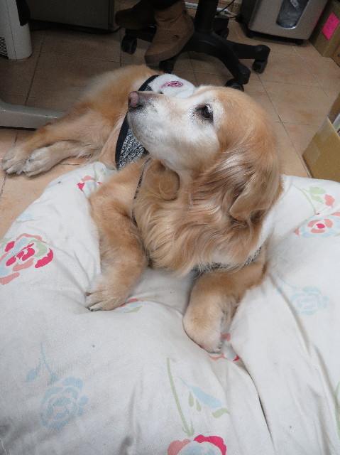 ファイル 6066-2.jpg