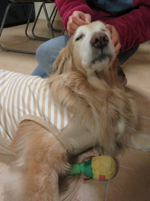 ファイル 6068-4.jpg