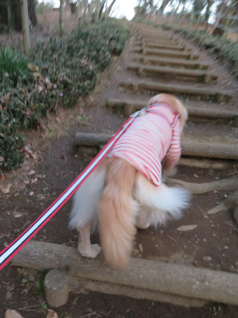 ファイル 6071-3.jpg