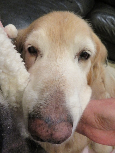 ファイル 6071-5.jpg