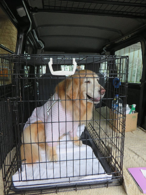 ファイル 6072-1.jpg