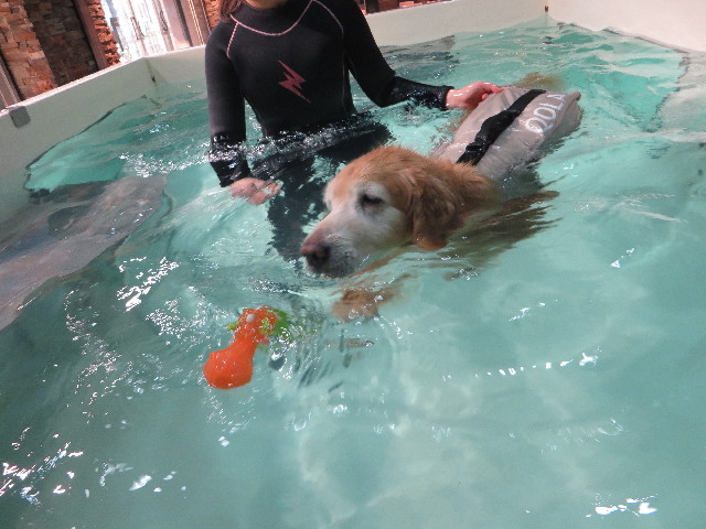 ファイル 6072-4.jpg