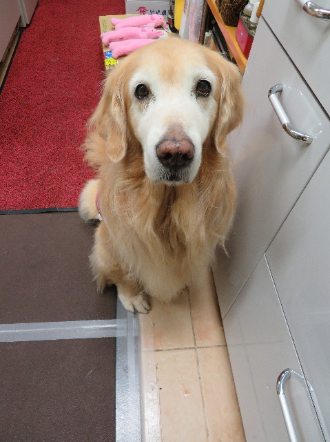 ファイル 6073-1.jpg