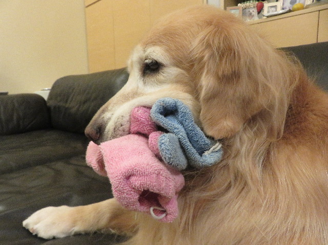 ファイル 6073-2.jpg