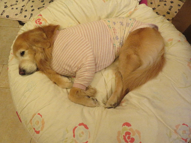 ファイル 6073-3.jpg