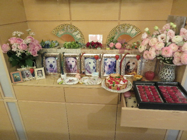 ファイル 6074-4.jpg