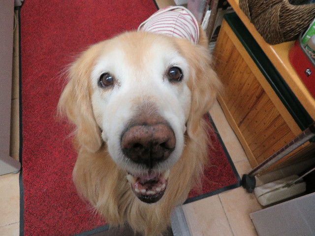 ファイル 6075-3.jpg