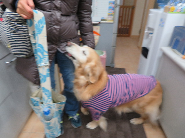 ファイル 6077-4.jpg