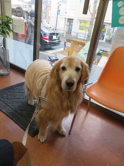 ファイル 6079-1.jpg