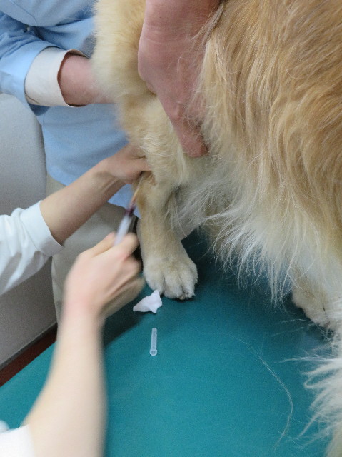 ファイル 6079-2.jpg