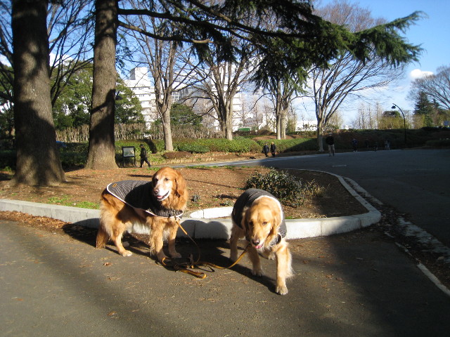 ファイル 608-1.jpg