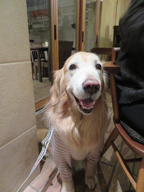 ファイル 6082-3.jpg