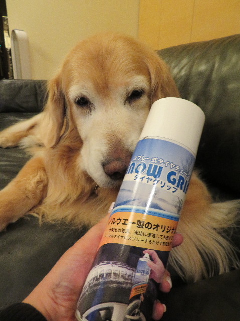 ファイル 6084-1.jpg