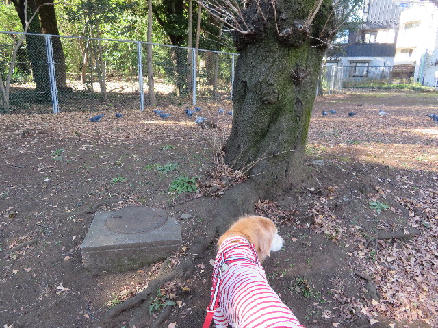 ファイル 6084-2.jpg