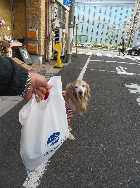 ファイル 6085-2.jpg