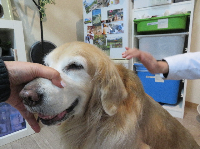 ファイル 6087-3.jpg