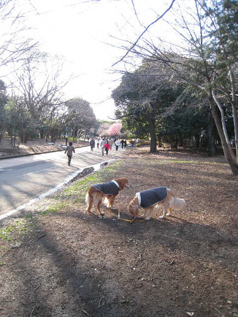 ファイル 609-1.jpg