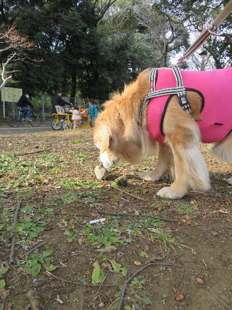 ファイル 6093-2.jpg