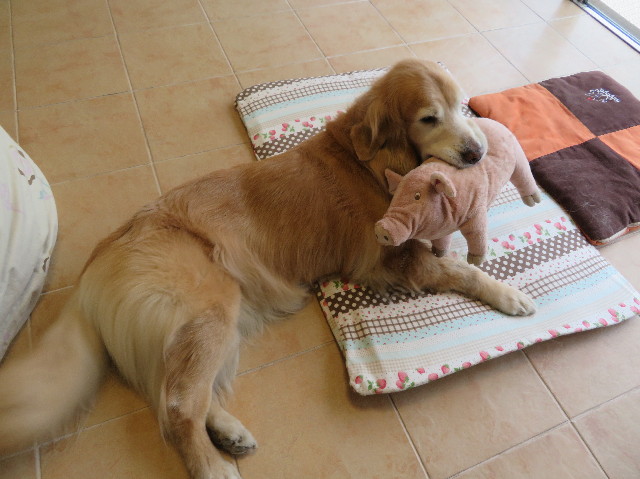 ファイル 6093-4.jpg