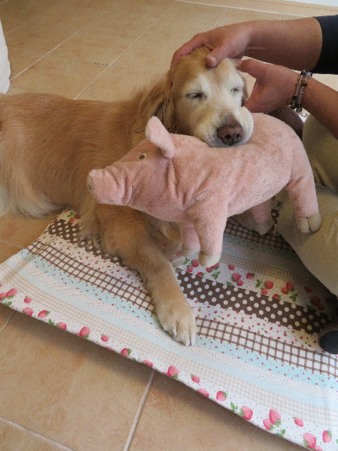 ファイル 6093-5.jpg