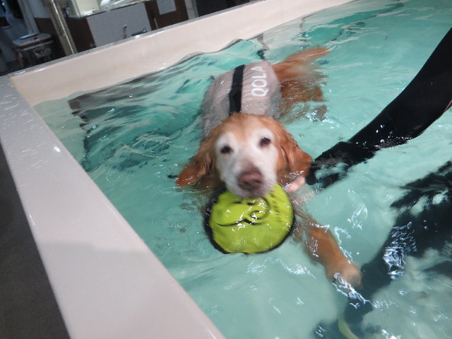 ファイル 6095-4.jpg