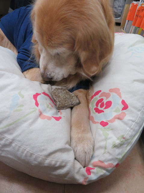 ファイル 6099-5.jpg