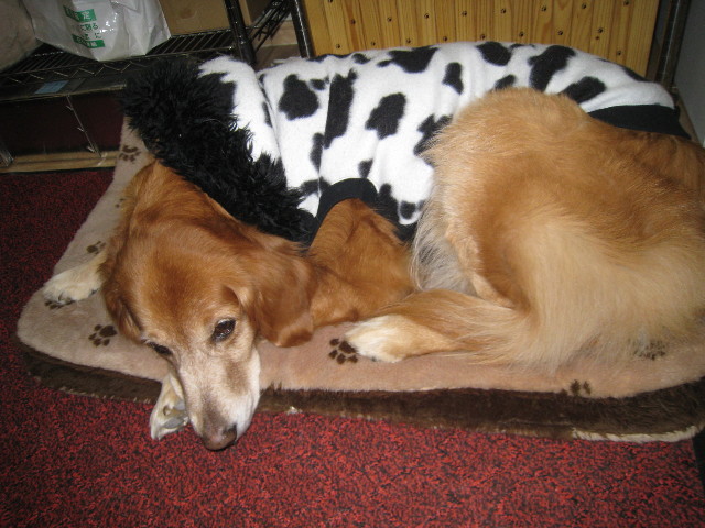 ファイル 610-4.jpg