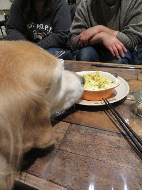 ファイル 6101-1.jpg