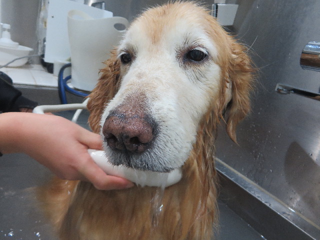 ファイル 6102-5.jpg