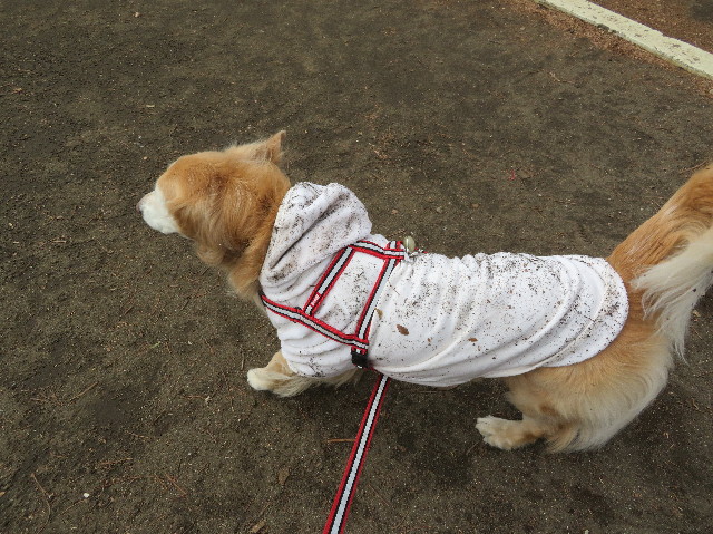 ファイル 6104-4.jpg