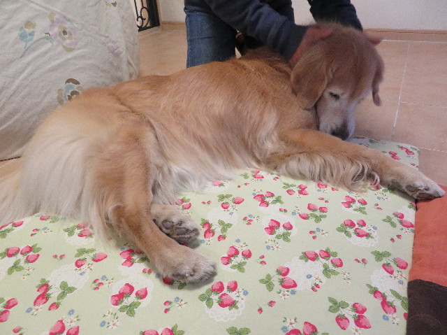 ファイル 6104-5.jpg