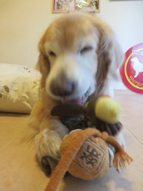 ファイル 6105-3.jpg