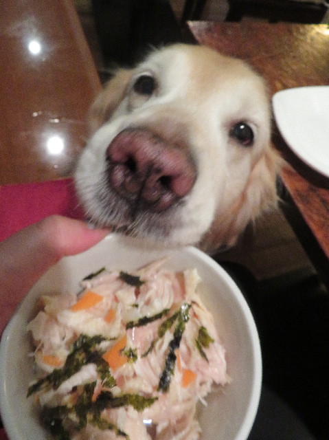 ファイル 6105-4.jpg