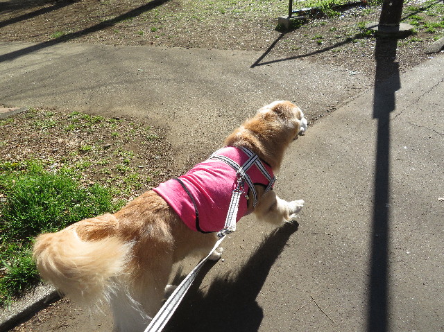 ファイル 6107-2.jpg