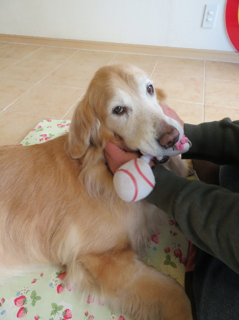 ファイル 6107-3.jpg