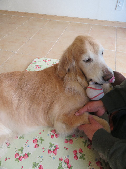 ファイル 6107-4.jpg