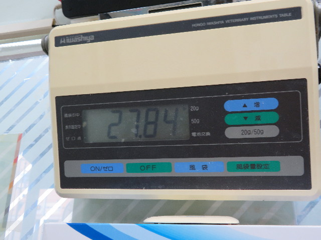 ファイル 6108-1.jpg