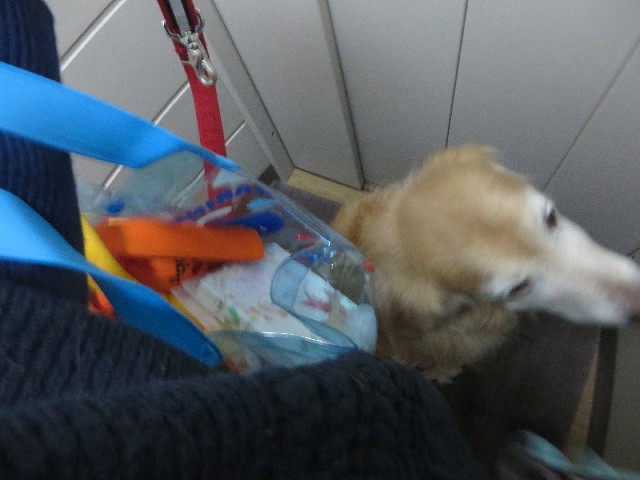 ファイル 6108-3.jpg