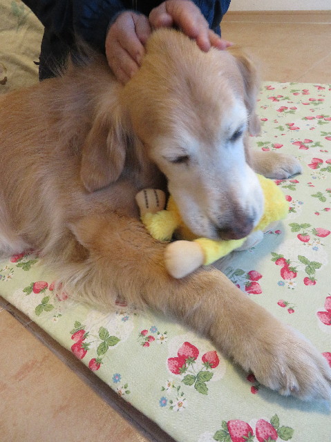 ファイル 6111-5.jpg