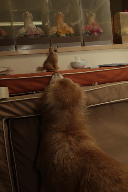 ファイル 6113-1.jpg