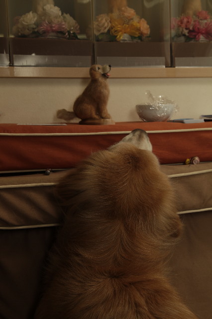 ファイル 6113-2.jpg