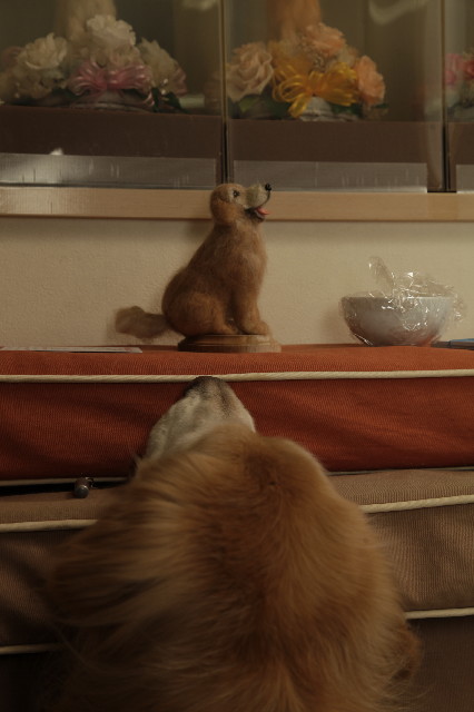 ファイル 6113-3.jpg