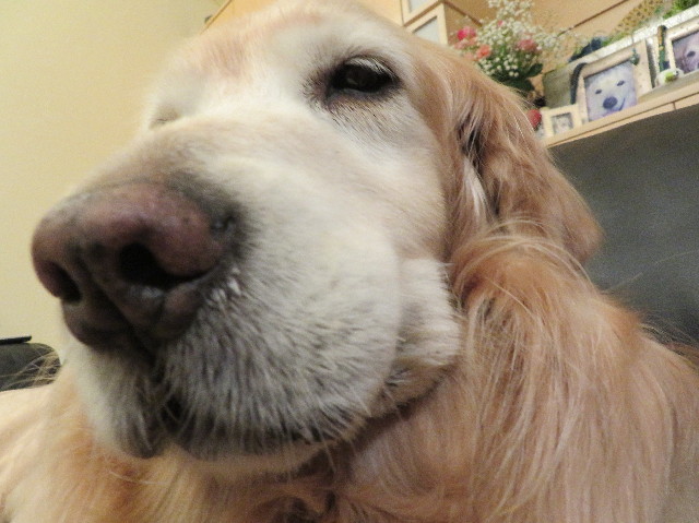 ファイル 6113-5.jpg