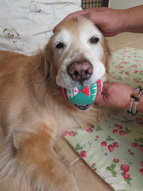 ファイル 6114-5.jpg