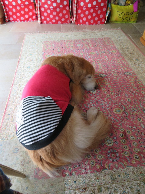 ファイル 6115-1.jpg