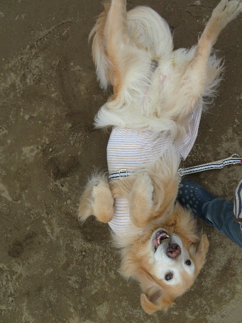 ファイル 6115-2.jpg