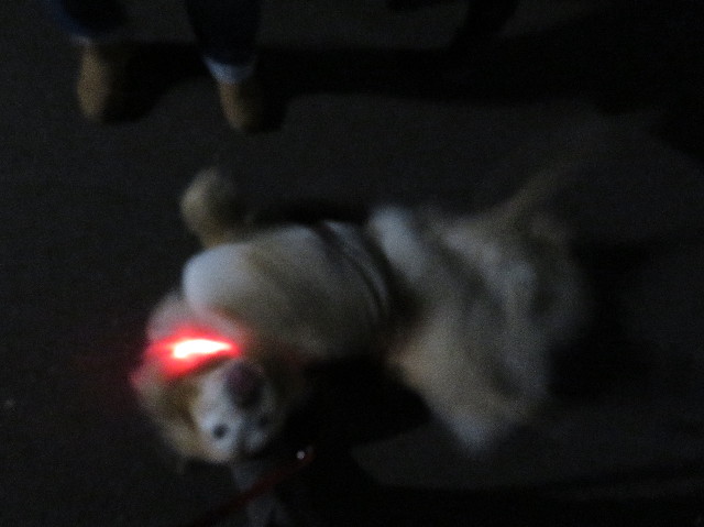 ファイル 6115-3.jpg